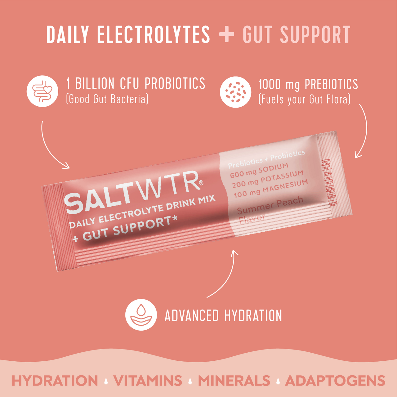 SaltWTR - Gut Support (Summer Peach)
