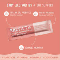 SaltWTR - Gut Support (Summer Peach)